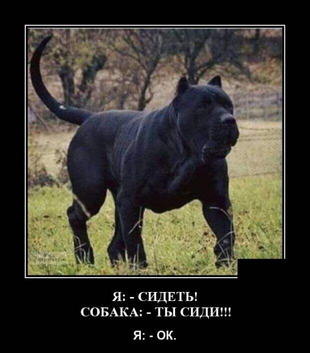 Демотиваторы Демотиваторы