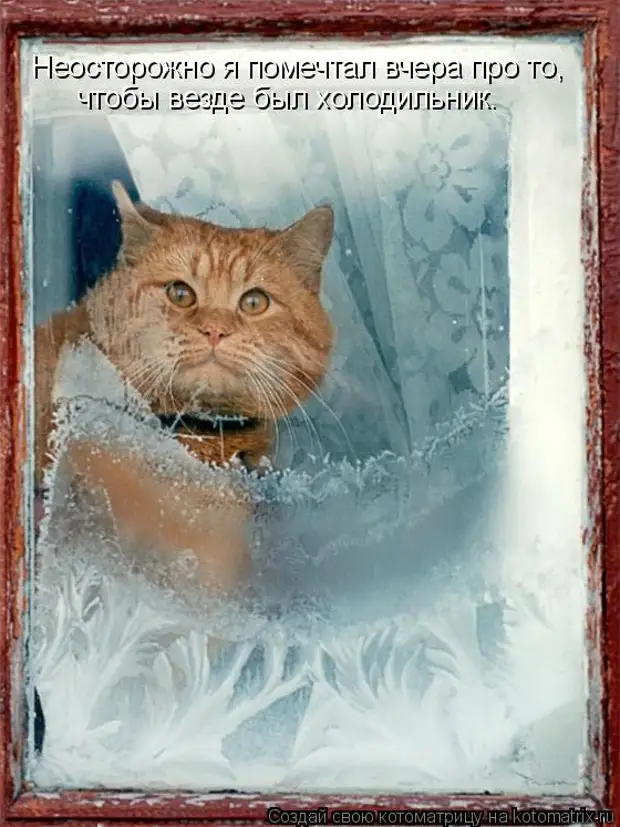 Жду весну картинки с надписями. Кот зимой. Жду весну. Кот ждет весну. С добрым морозным утром коты.