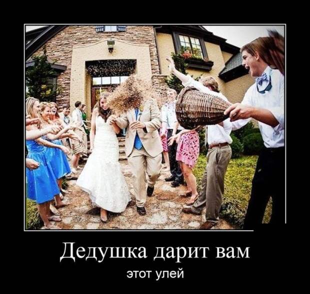 Демотиваторы Демотиваторы