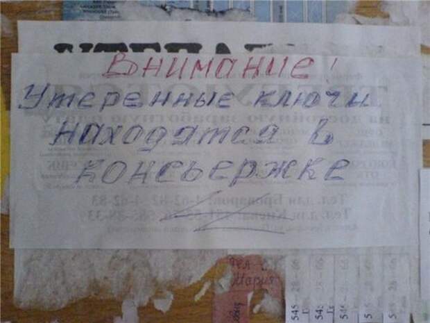 Прикольные объявления для соседей (50 фото)