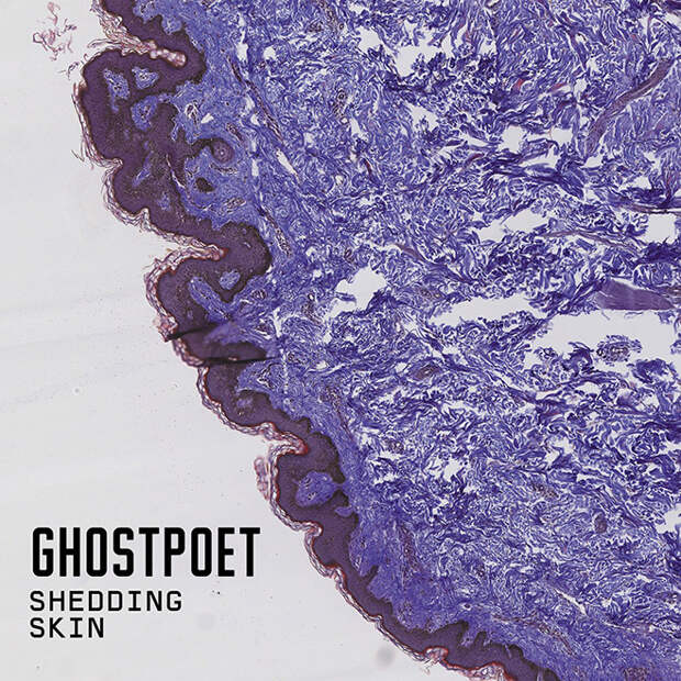 Ghostpoet, Shedding Skin