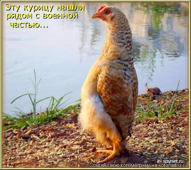 УЛЫБНЕМСЯ!..