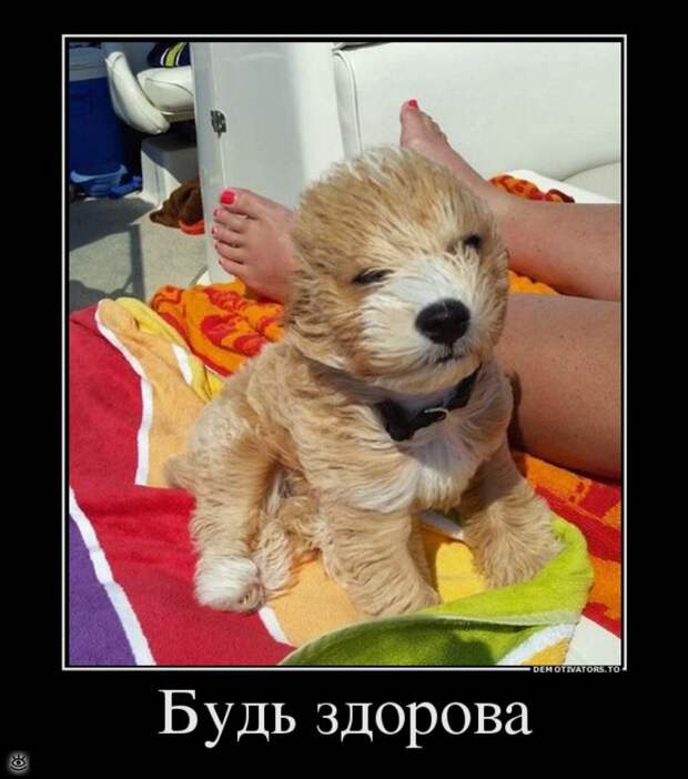 Просветление - это сюда! 8