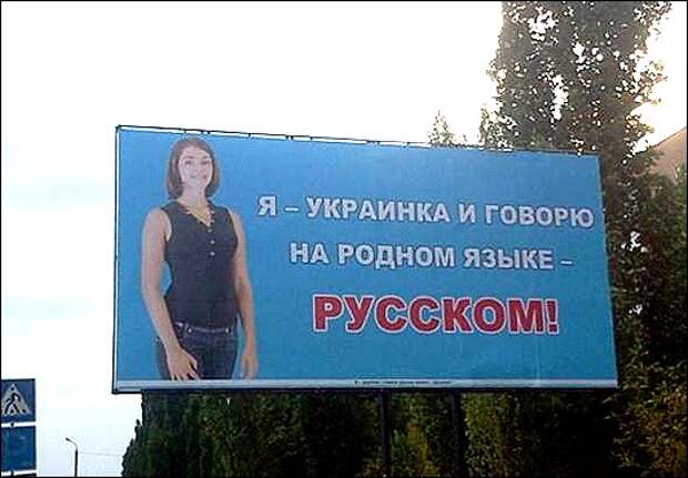 0d9edb9d5550e66a33aea9652cc_prev