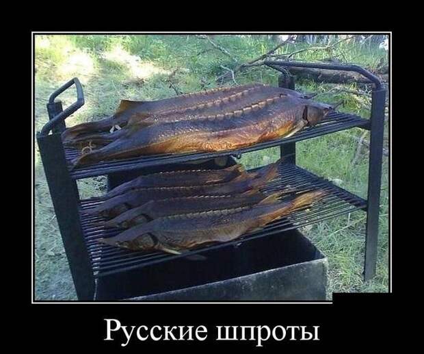 Демотиваторы. Отличная подборка!