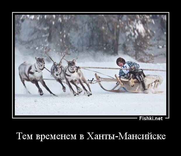 Это Сибирь, детка! Это Сибирь, детка! жизнь, мороз, прикол, сибирь