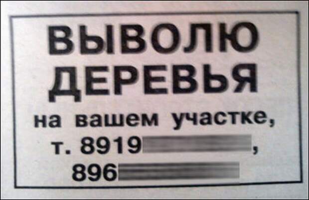 Прикольные надписи и объявления маразм, надпись, юмор