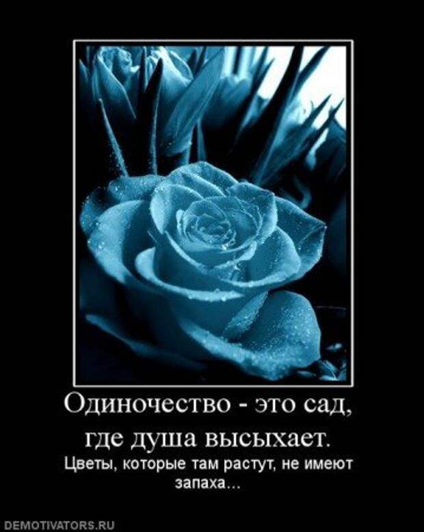 Демотиваторы смысловые.
