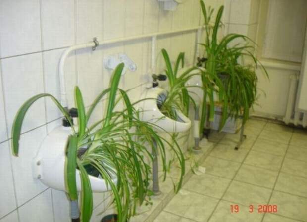 Эх, Россия (72 фото) Эх, Россия (72 фото)