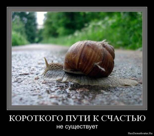 Подборка демотиваторов.