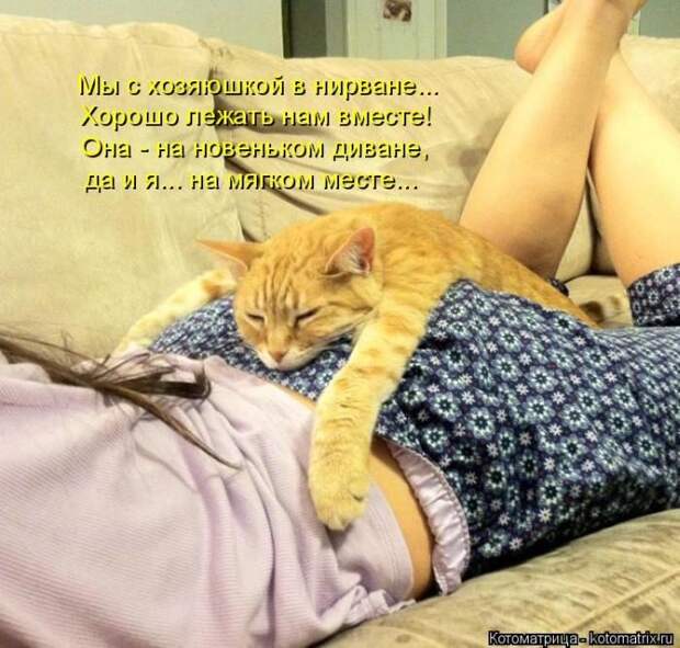 Лучшие котоматрицы недели