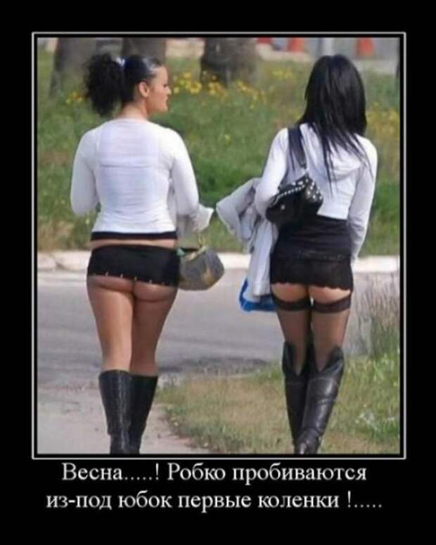 Веселые демотиваторы для утреннего веселья (10 фото)