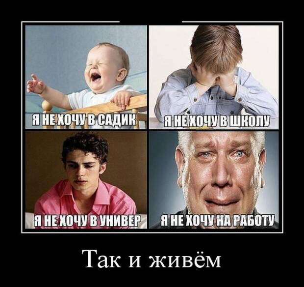 Демотиваторы (30 фото)