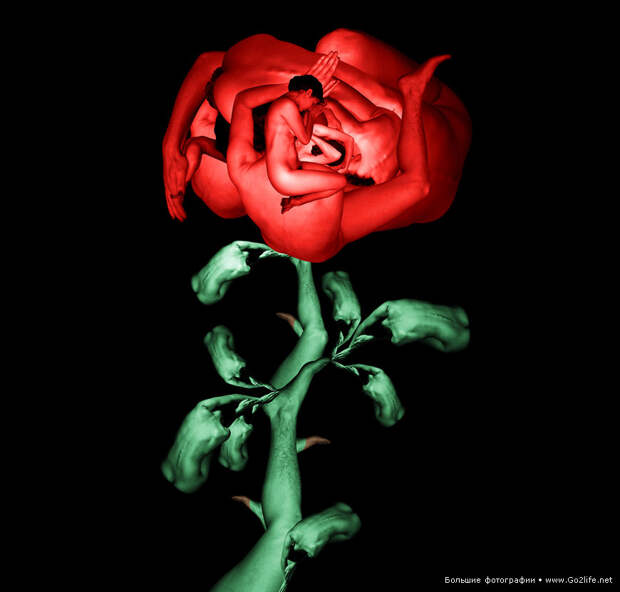 Human Bodies Art
