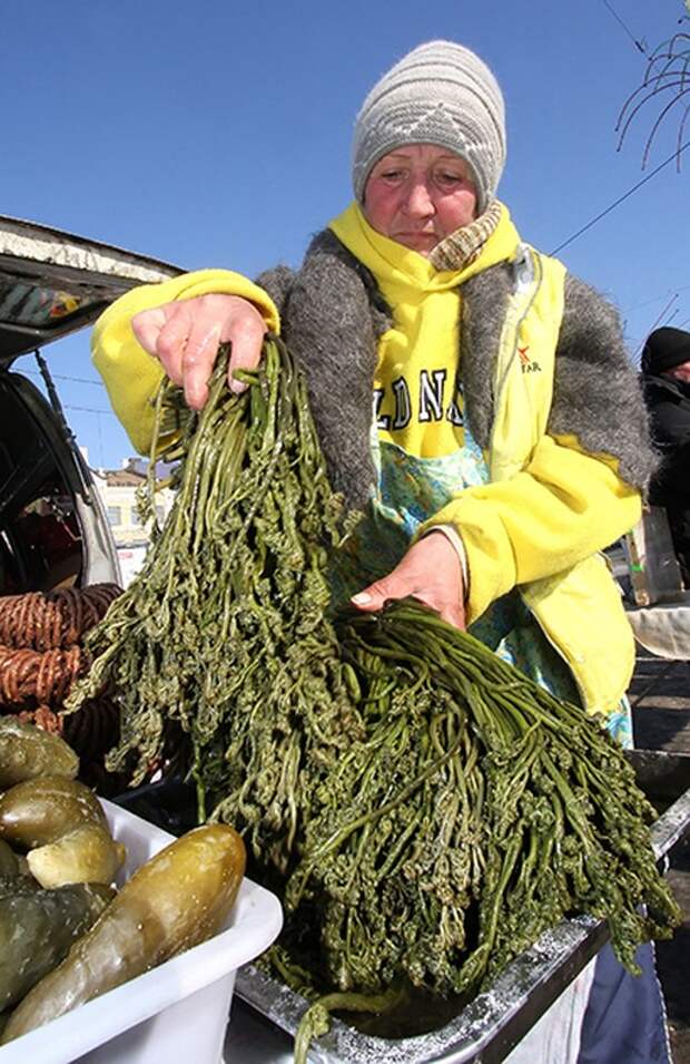 Забытые деликатесы возвращаются в лоно высокой русской кухни