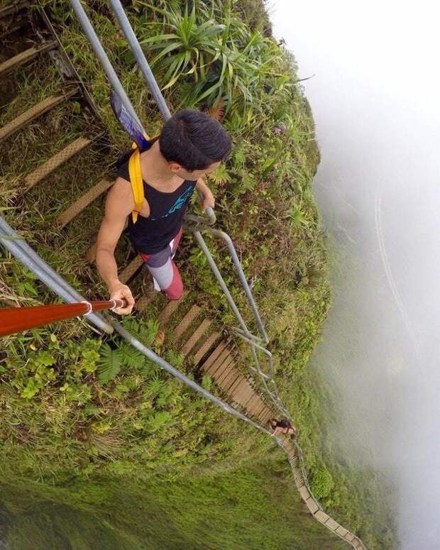 3. Лестница Хайку на Гавайях в мире, высота, кадр, красота, люди, фото