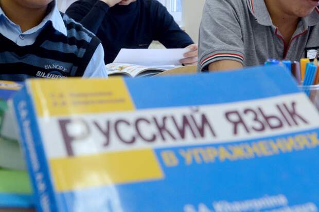 Борясь с мигрантами, Госдума нанесла удар по русским детям – Ворсобин