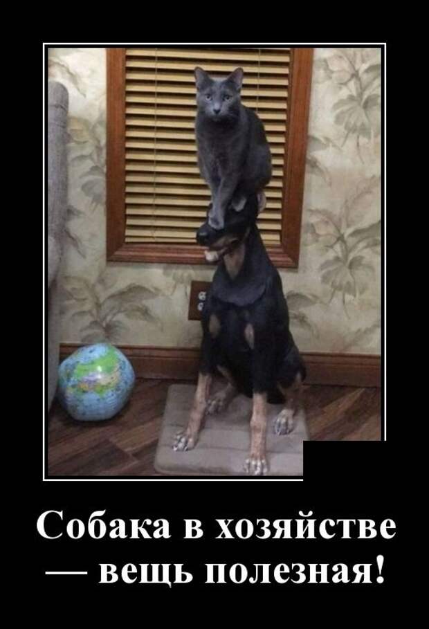Демотиваторы (30 фото)