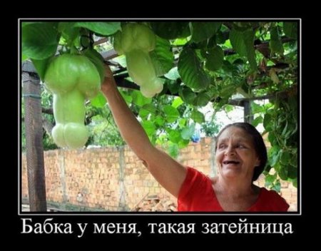 Демотиваторы новые, смешные много прикольных фото.