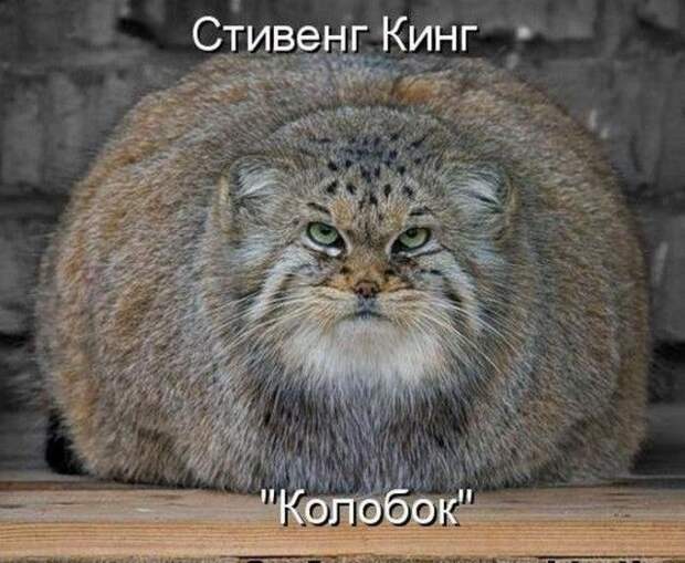 Весело до сумасшествия