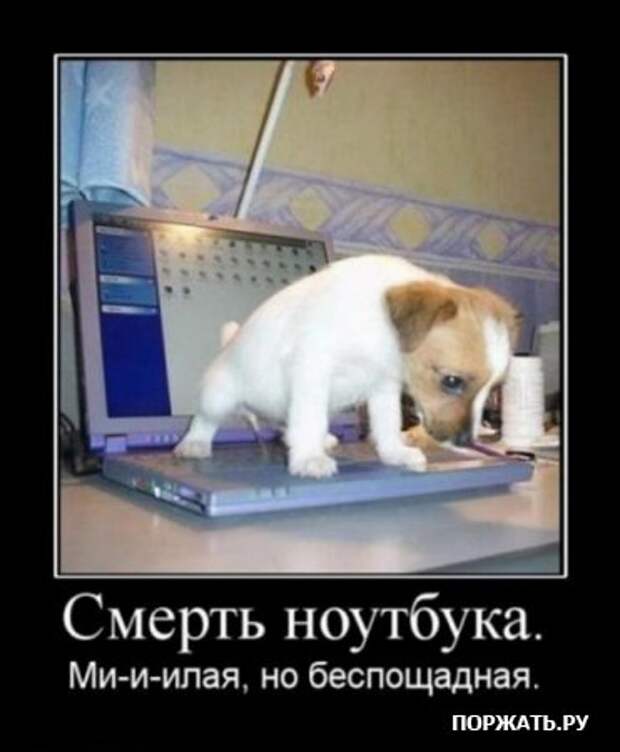 Демотиваторы - море позитива!