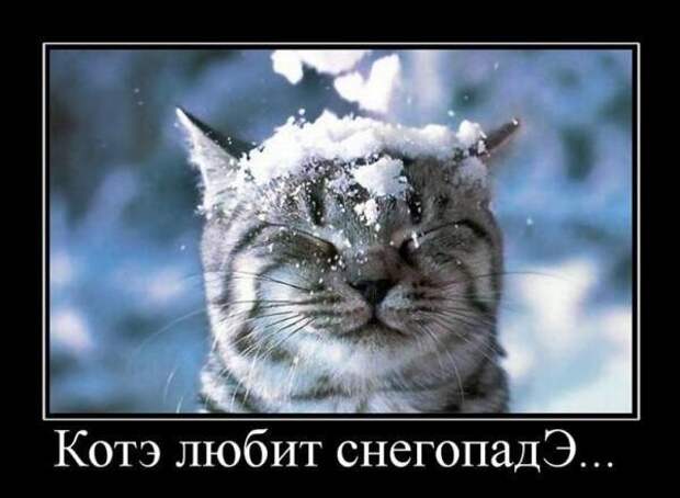Зимние демотиваторы Зимние демотиваторы