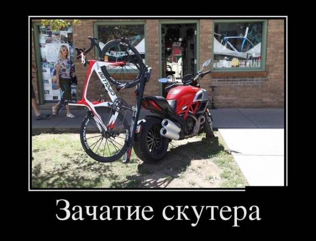 Демотиваторы (30 фото)