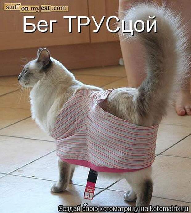 Мысли вслух :)