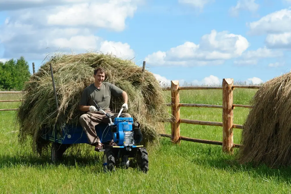 Сенокосные поля екатеринбург. Сенокос деревня природа. Сенокос 2. Скирда сноп. Калязин.