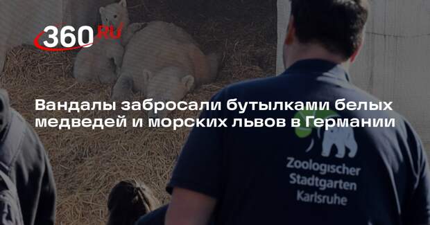 Вандалы забросали бутылками белых медведей и морских львов в Германии