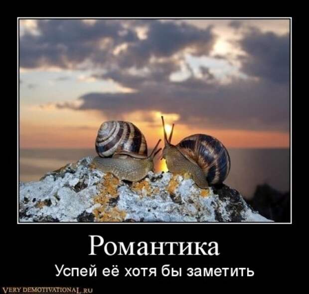 Демотиваторы это полезные приколы.