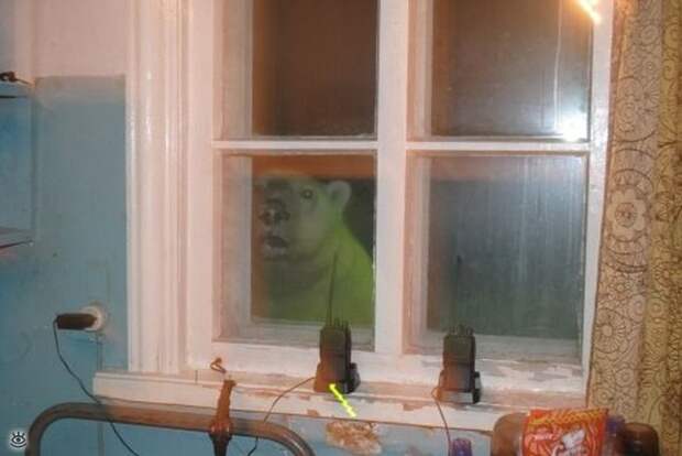 Забавные и позитивные фотки 16