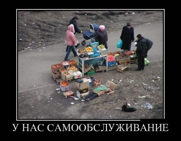Подборка  демотиваторов демотиваторы, юмор
