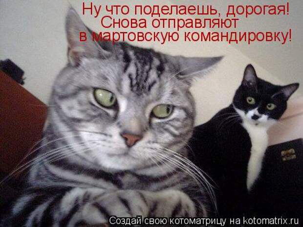 Ну что поделаешь, дорогая! Снова отправляют  в мартовскую командировку!