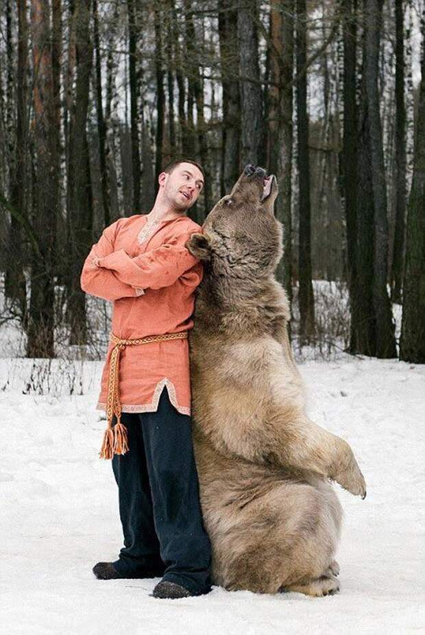 Фотографии моделей с 650-килограммовым медведем в заснеженном лесу Фотографии моделей с 650-килограммовым медведем в заснеженном лесу медведь, фото