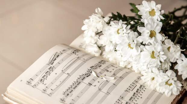 Вокальная атлетика: почему поп-дивы мерились октавами