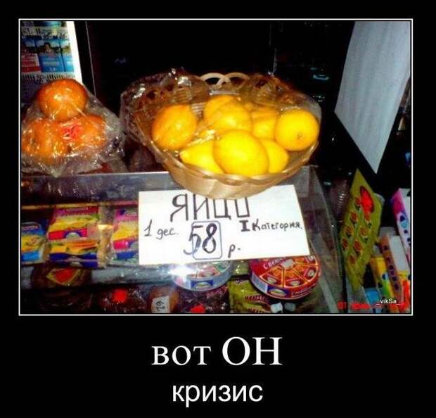 Демотиваторы (50 фото)