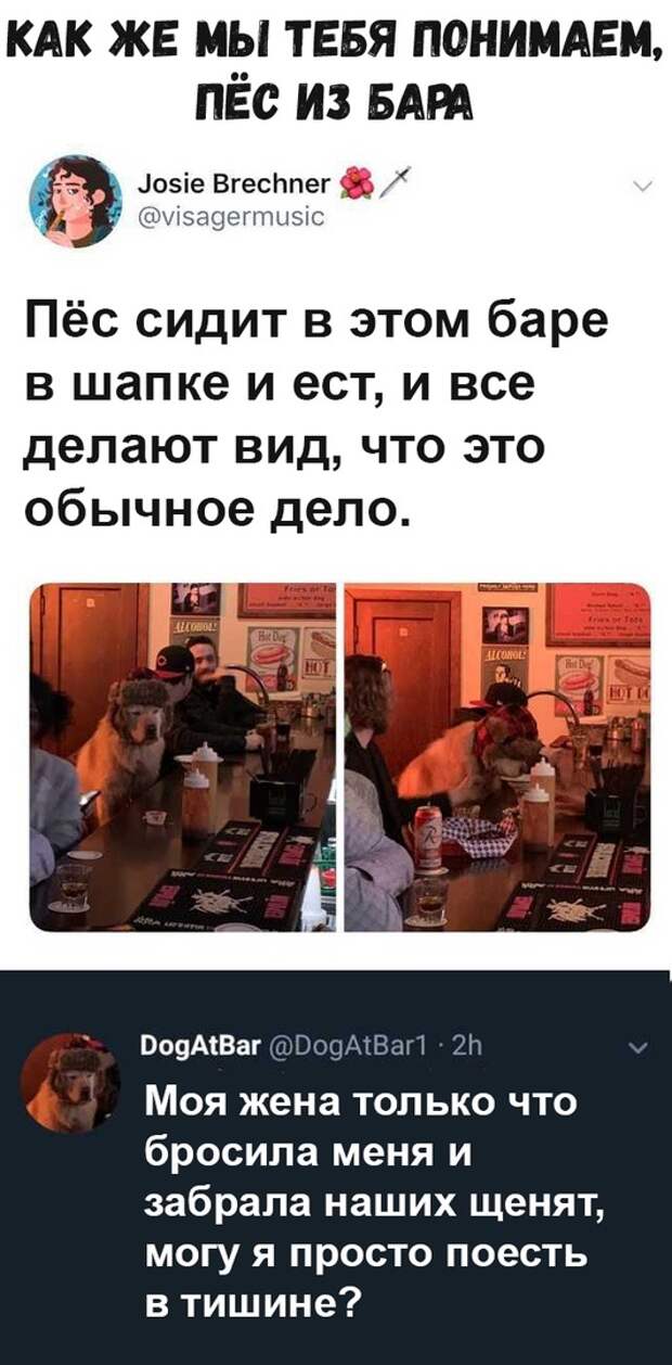 www.vsyako.net