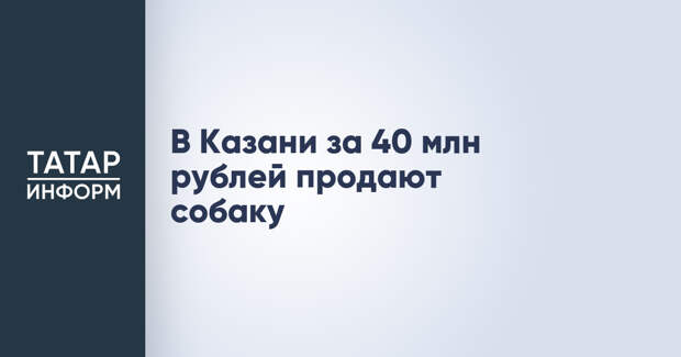 В Казани за 40 млн рублей продают собаку