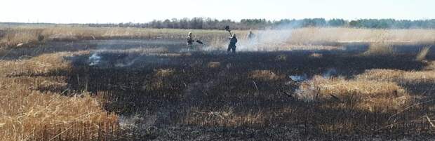 Более 40 раз за сутки выезжали пожарные на тушение сухой травы и мусора в Карагандинской области