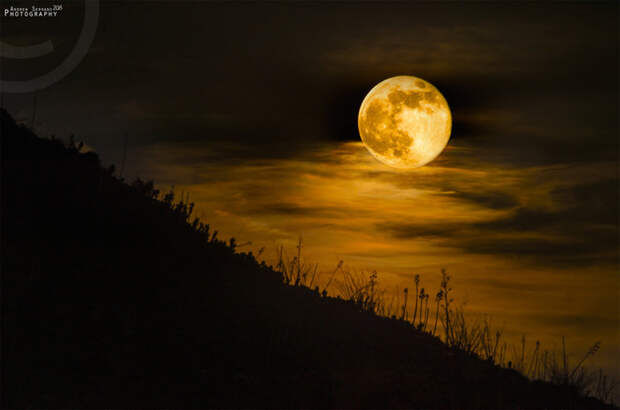 caught_me_a_super_moon_by_explicitstudios-d6ajdlz (700x464, 220Kb)