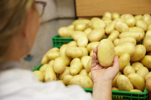 Росстат: с начала года рост цен на картофель составил 49,7%