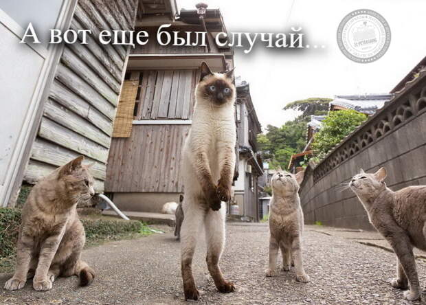 А вот еще был случай