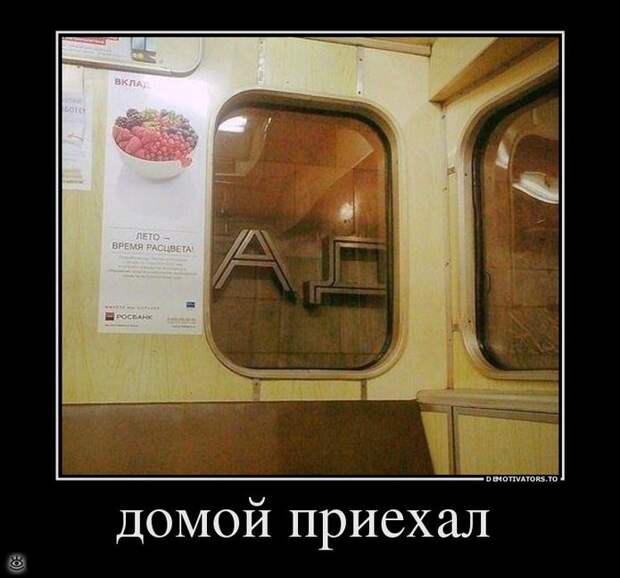 Ура, воскресенье! 15