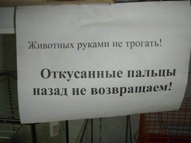 Надписи и приколы картинки, фото