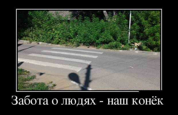Демотиваторы (30 фото)