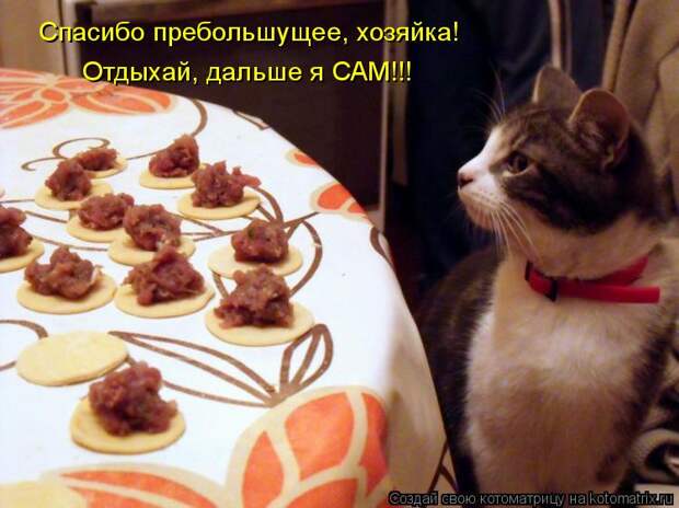 Спасибо пребольшущее, хозяйка! Отдыхай, дальше я САМ!!!