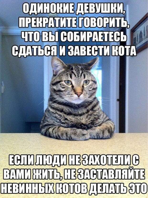 Прикольные картинки (123 фото)