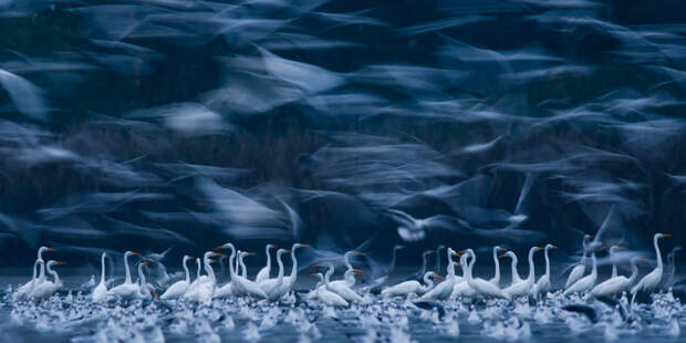 Победители конкурса панорамной фотографии The EPSON International Pano Awards