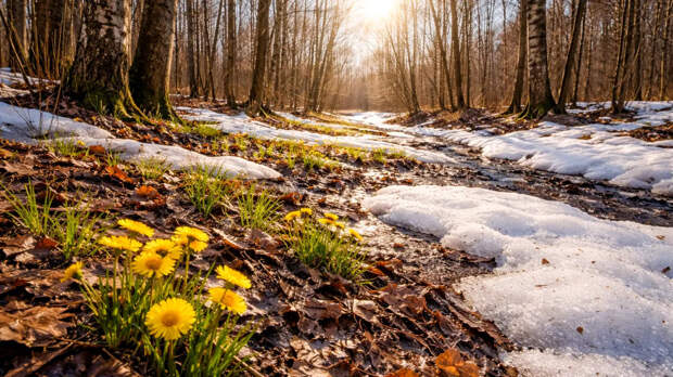 Такого марта не было давно: синоптик Макарова рассказала об аномальной весне